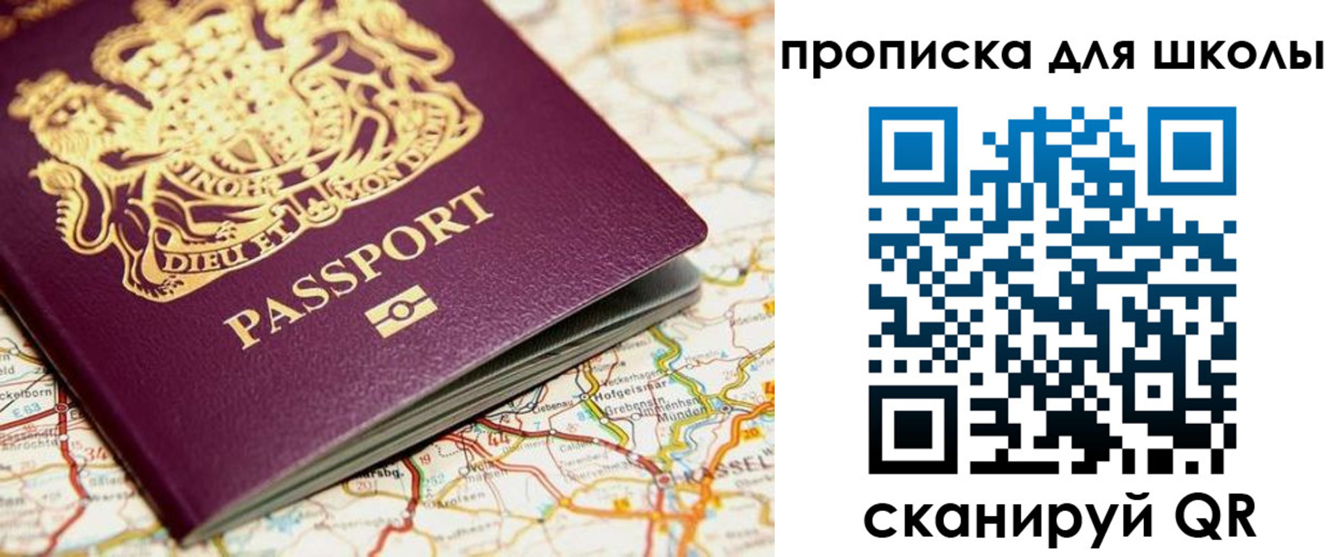 прописка гарантия в Камышине