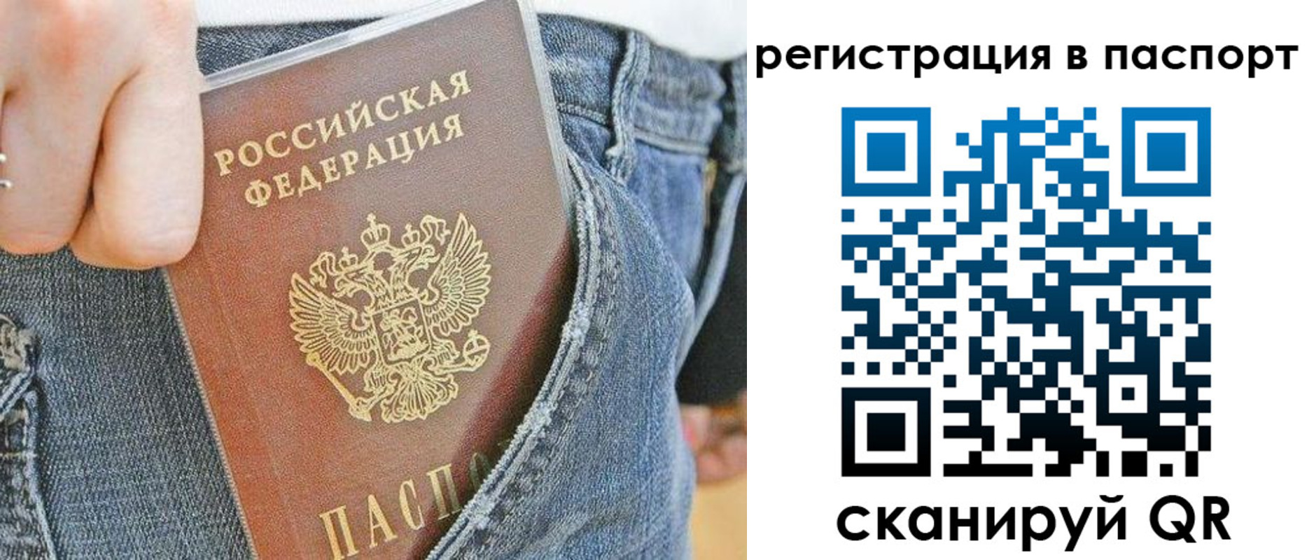 регистрация в Камышине